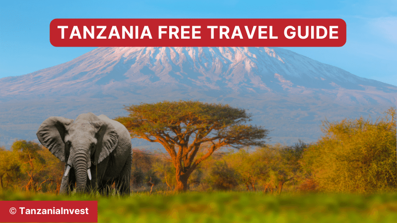 Tanzania Free Travel guide for Safari and beaches