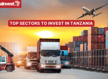 TOP SECTORS TO INVEST IN TANZANIA