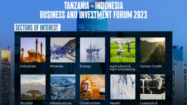 Tanzania-Indonesia Business & Investment Forum 2023