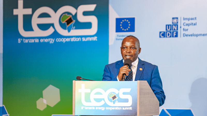 Tanzania Calls for Investors to Achieve 5,000MW Power Production by