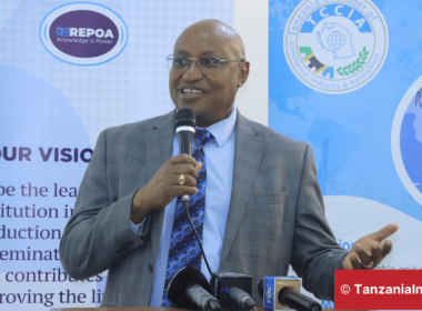 REPOA Taxation Survey Tanzania 2024
