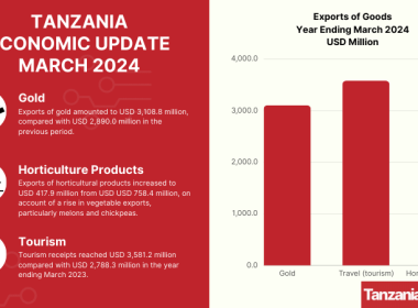 TANZANIA ECONOMIC UPDATE MARCH 2024