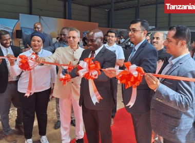 Tanzania Fortune white cement plant