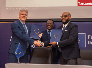 EU grant to Financial Sector Deepening Trust (FSDT) for Tanzanian MSMEs