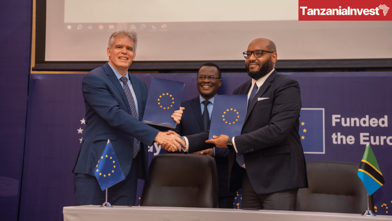 EU grant to Financial Sector Deepening Trust (FSDT) for Tanzanian MSMEs