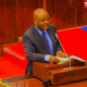 Kitila Mkumbo Parliament Bunge