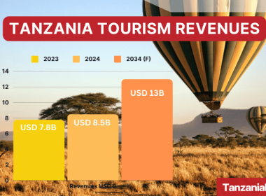 Tanzania Tourism Revenues 2023 2024 2034