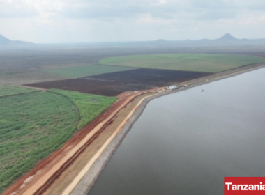 Mtibwa Sugar Factory Dam in Morogoro