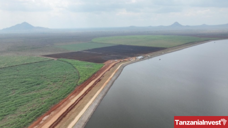 Mtibwa Sugar Factory Dam in Morogoro