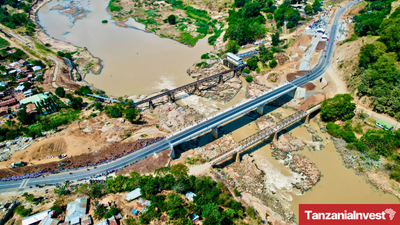 Tanzania Great Ruaha Bridge