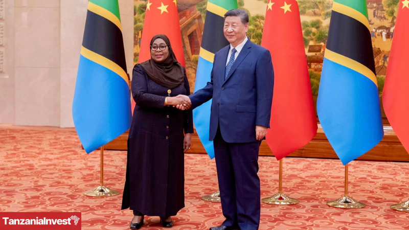 Samia Suluhu Hassan Xi Jinping Beijin September 2024