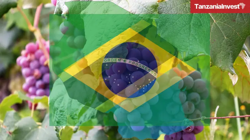 Brazil Interest Investing in Tanzania Grapes