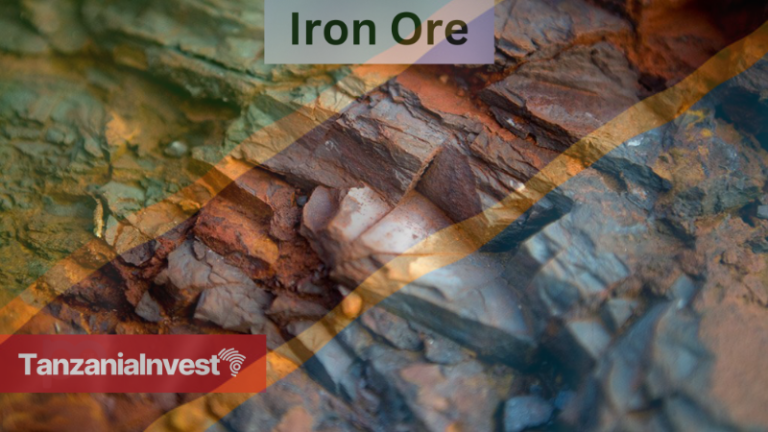 Tanzania to Become Africa’s Largest Iron Ore Producer: Latest Updates ...