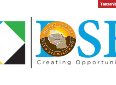 Tanzania STAMIGOLD DSE