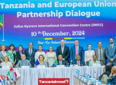 EU Tanzania Partnership Dialogue 2024