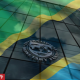 IMF Tanzania flag