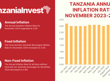 Tanzania Inflation Rates November 2024