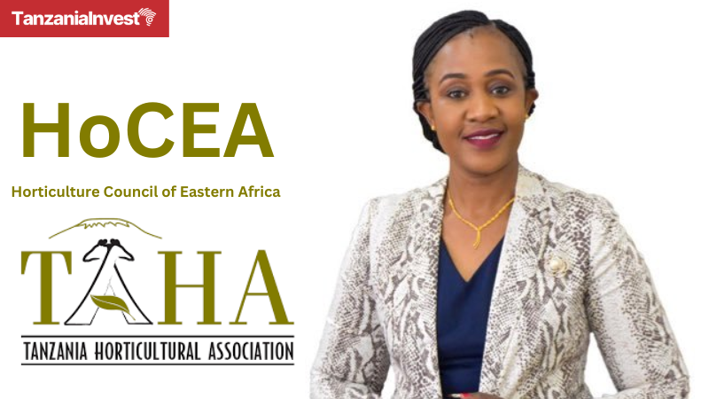 Jacqueline Mkindi TAHA HoCEA