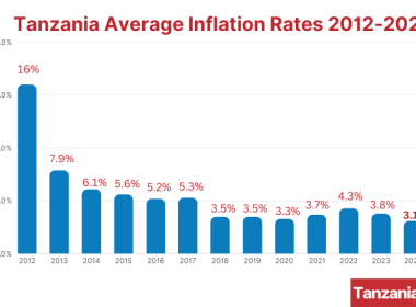 Tanzania Average Inflation Rates 2012-2024