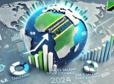 Tanzania DSE 2024 Performances