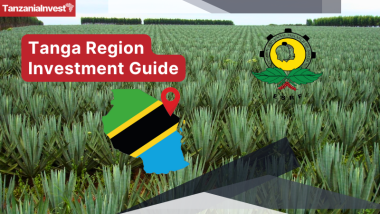Tanzania Tanga Region Investment Guide