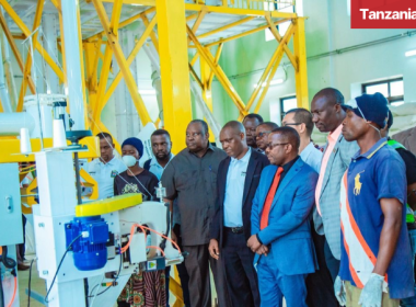 Kongwa maize processing facility