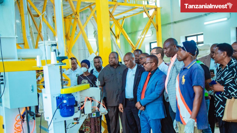 Kongwa maize processing facility