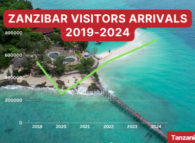 Zanzibar Visitors Arrivals 2019-2024