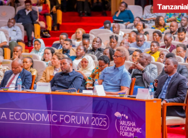Arusha Economic Forum 2025 TIC Teri