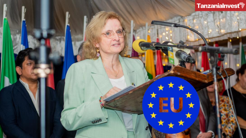 EU Tanzania Cooperation Speech Christine Grau 2025