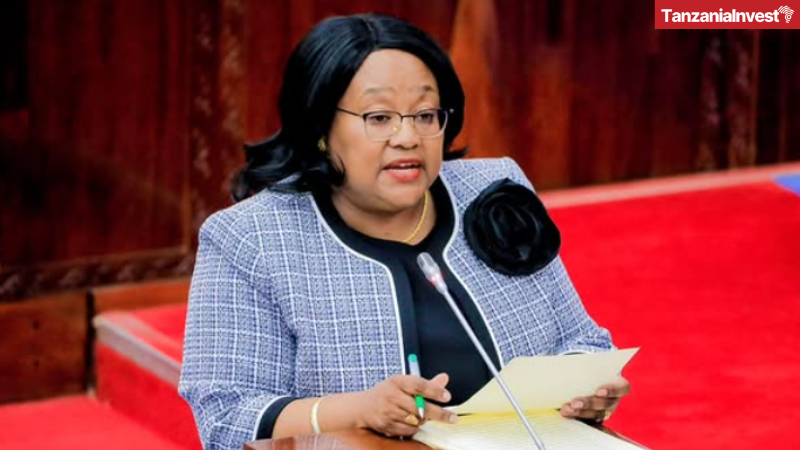 Pindi Chana Tanzania Tourism Budget 2025 2026