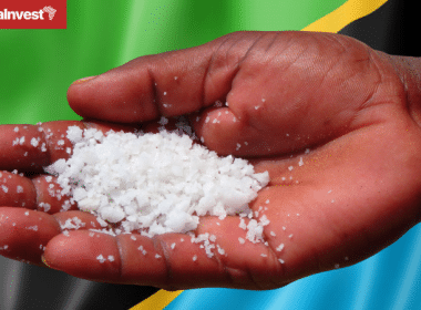 Tanzania salt