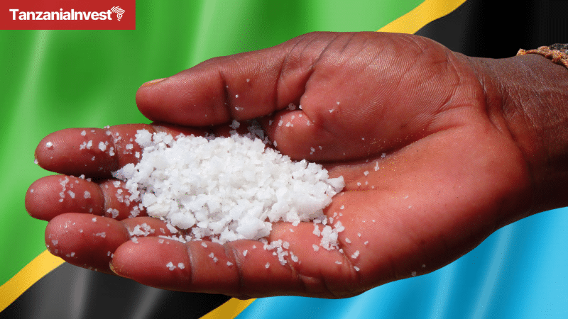 Tanzania salt