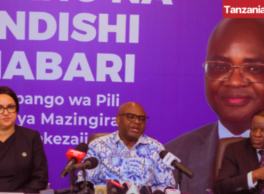 Kitila Mkumbo Tanzania MKUMBI II consultations