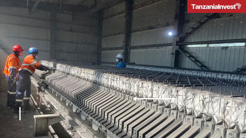 Lindi Jumbo Graphite Tanzania