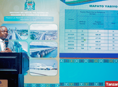 Nehemiah Mchechu Treasury Registrar Presentation Revenues 2025