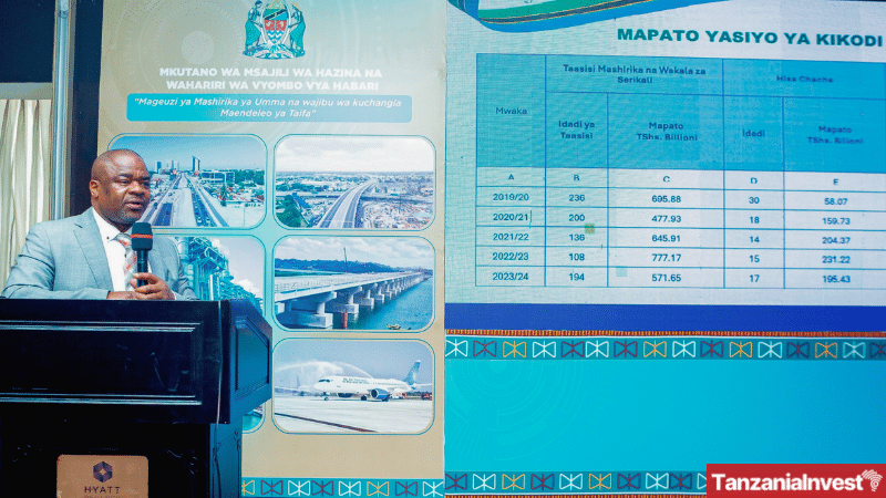 Nehemiah Mchechu Treasury Registrar Presentation Revenues 2025