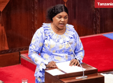 Tanzania Minister Health Jenista Mhagama Parliament Bunge