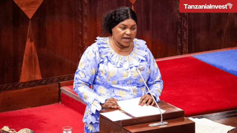 Tanzania Minister Health Jenista Mhagama Parliament Bunge