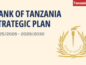 Tanzania visual data 7