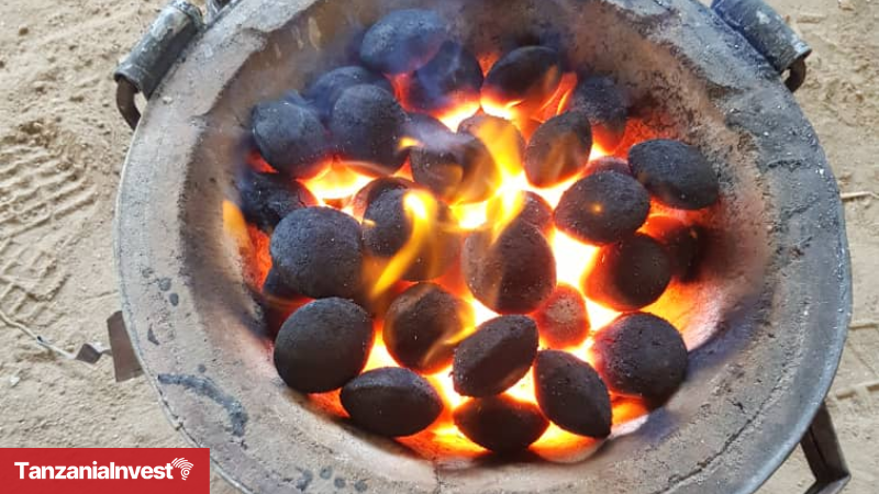 Tanzania Clean Cooking Rafiki Briquettes