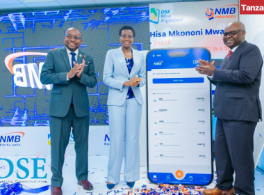 Tanzania DSE Nalitolela MNB Zaipuna Kitila Hisa Kiganjani Mini App