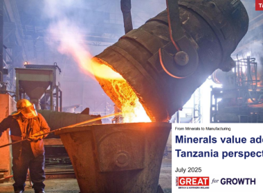 From xMinerals to Manufacturing Report Tanzania Manufacturing Africa