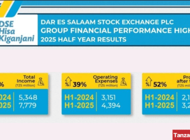 Tanzania DSE performances H1 2025