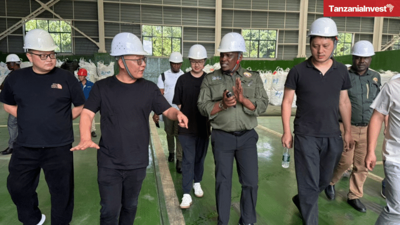 Tanzania STAMICO China Ningbo Shuangneng Ntaka Hill Nickel Copper