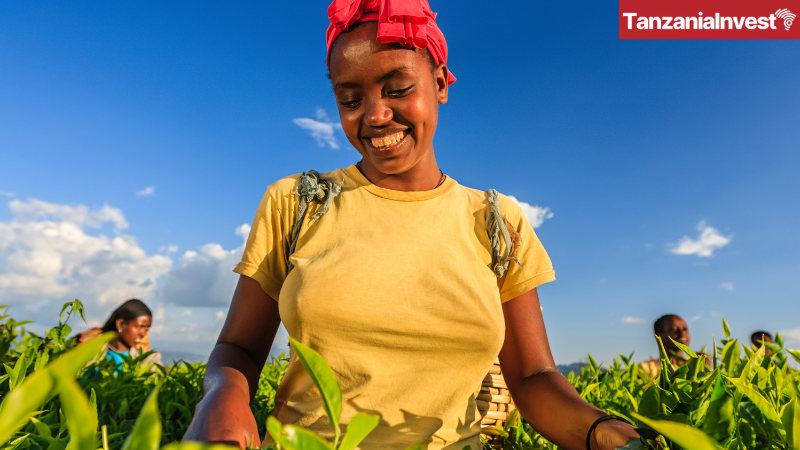 Tanzania Small Business Rural Women