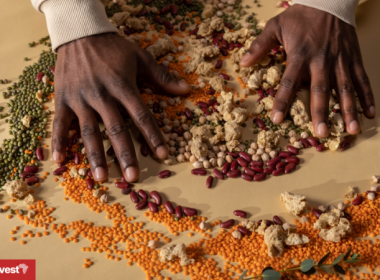 Tanzania seeds
