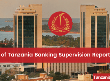 Bank of Tanzania Banking Supervision Report 2024