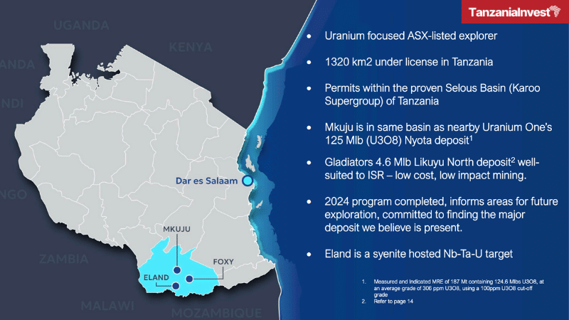 Tanzania Mkuju Uranium Project