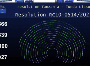 European Parliament Tanzania resolution